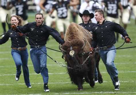 Why is cu mascot named ralphie